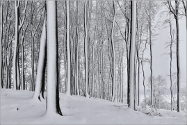 <p>Šluknovsko - Království</p>